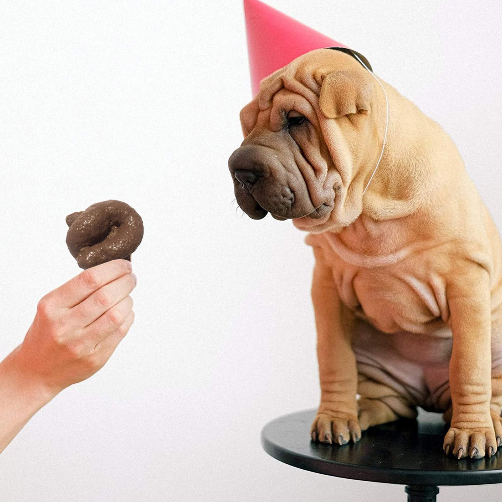 Реалистичный, безопасный и мяг – обзор и цена Fake Poop Gag Gift